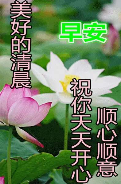 松永燕_松永_松永太
