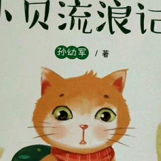 流浪猫动画片小贝_小贝流浪记动画片全集_小贝流浪记连环画