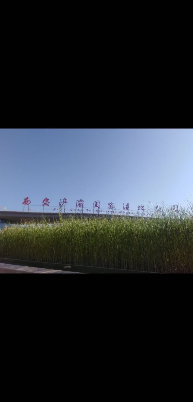 手机360游戏大厅手机玩_360手机打游戏怎么样_手机玩360网页游戏