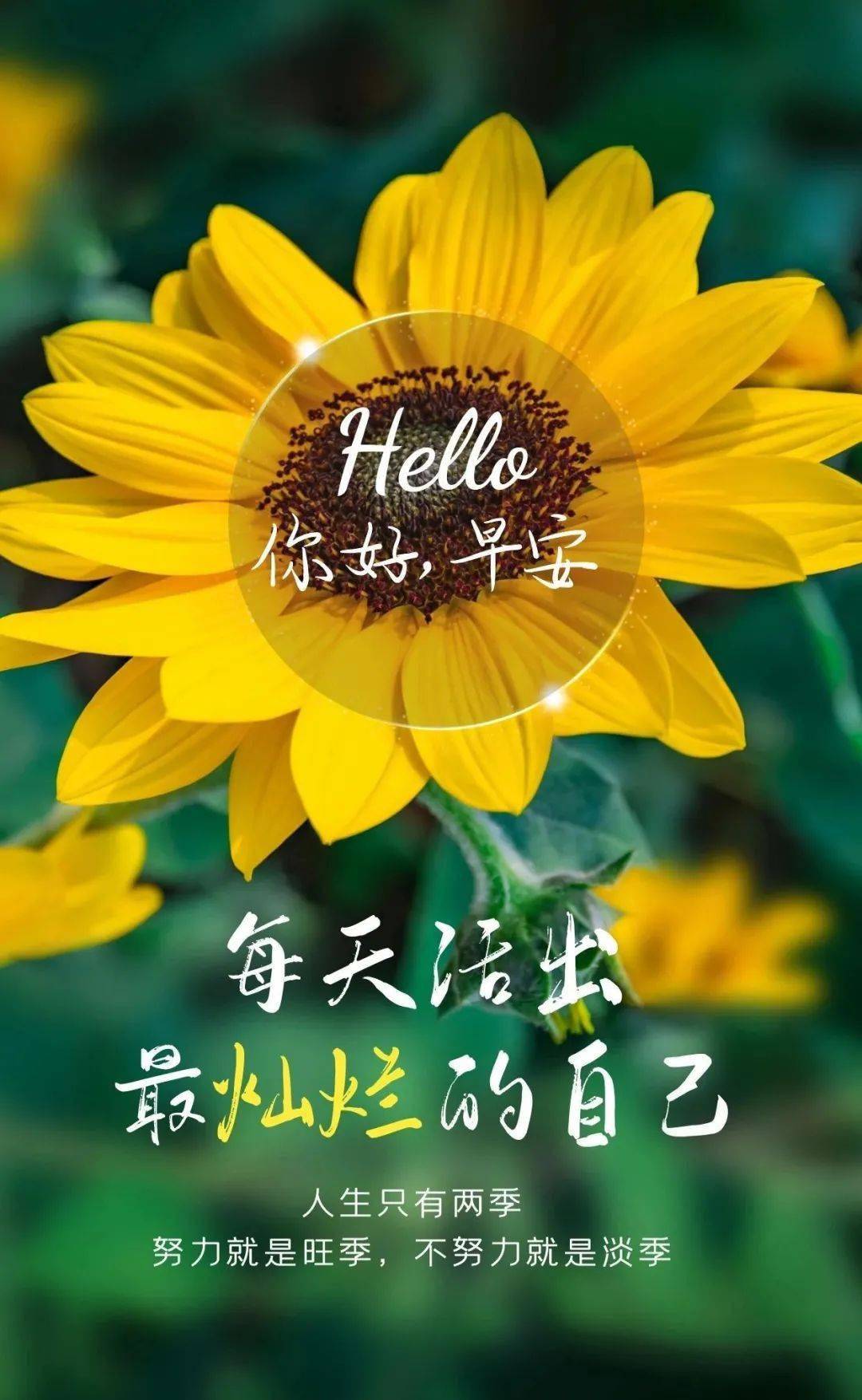 人生手机游戏_手机 游戏人生_手游游戏人生