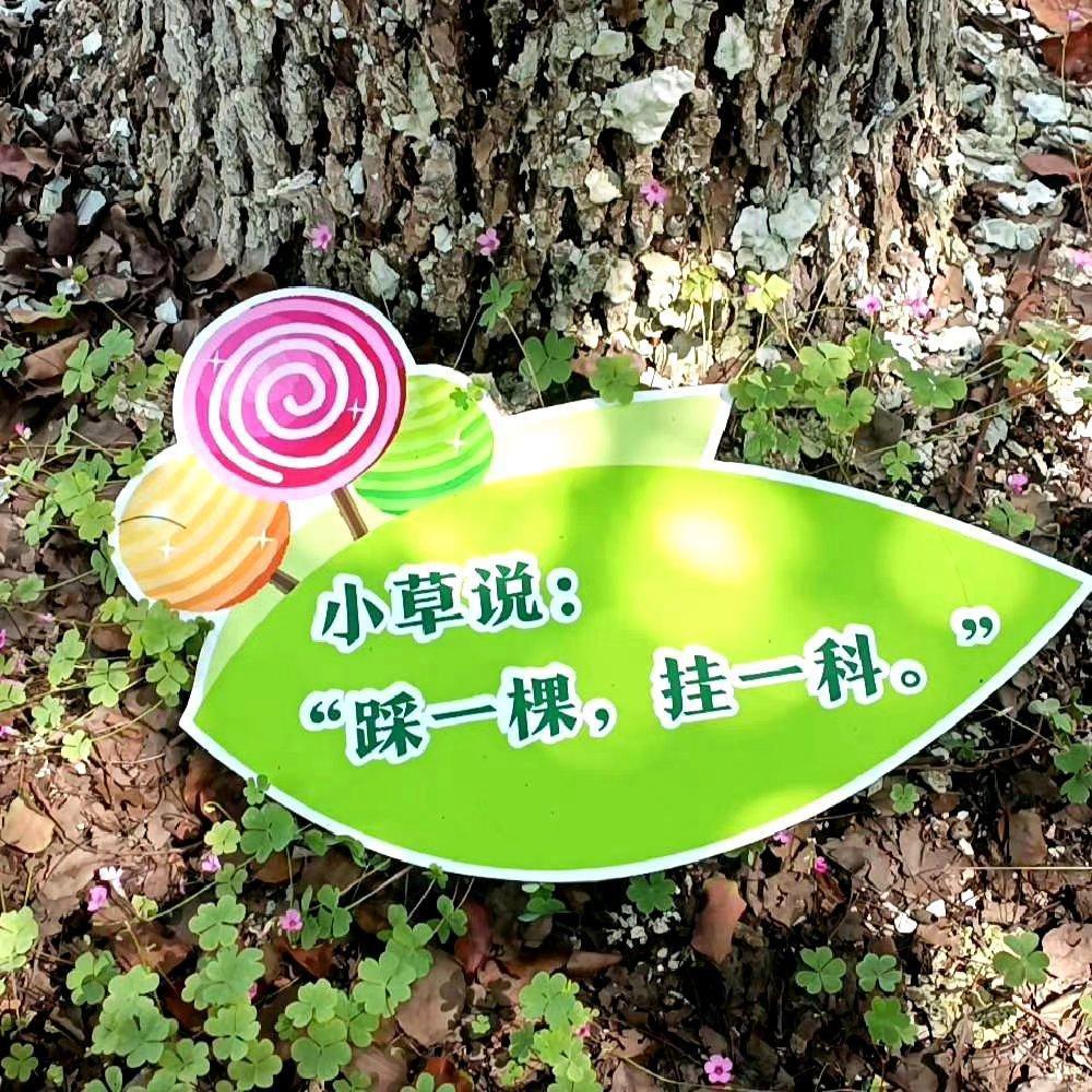 搞笑图片玩手机_打游戏搞怪图片_人用手机打游戏图片搞笑