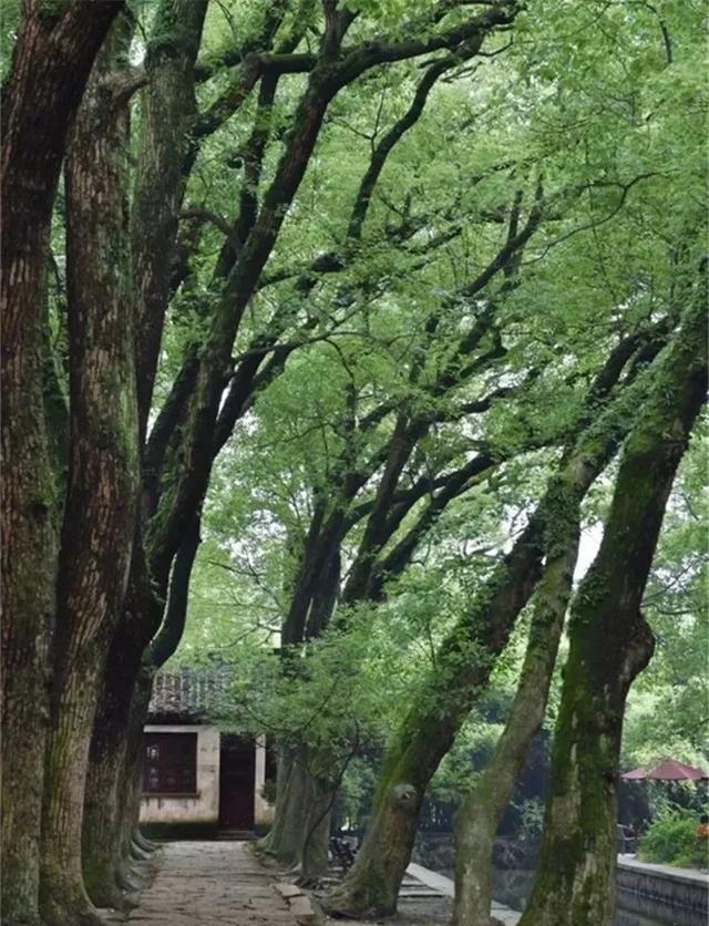 二婚男人变态_男人变态有什么错_男人变态虐待女人