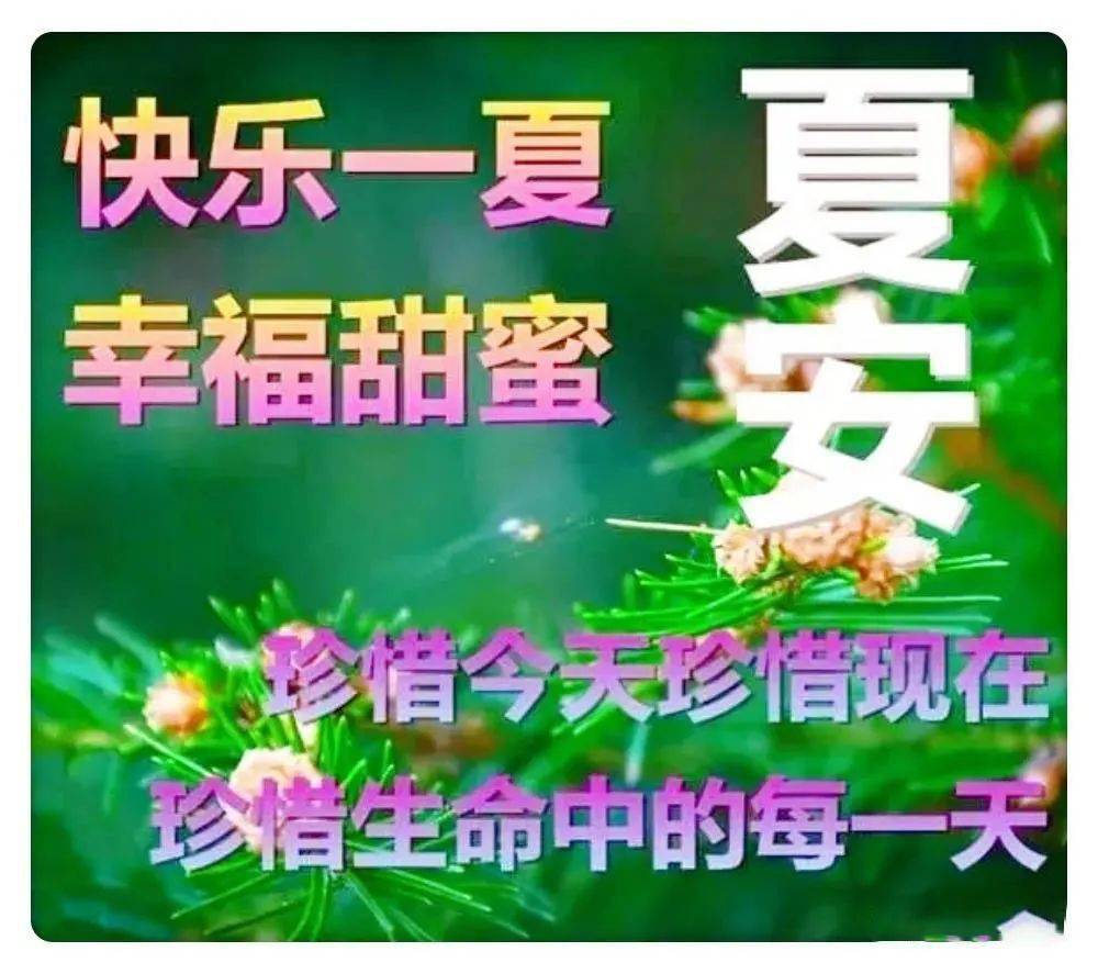 生命诚可贵说说_生命诚可贵的意思_生命诚可贵手机游戏