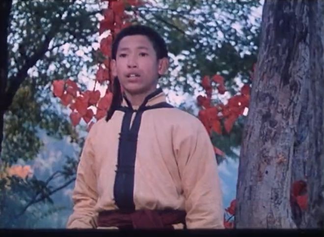 英雄少年1993播放_少年英雄出少年电影_自古英雄出少年电影1983