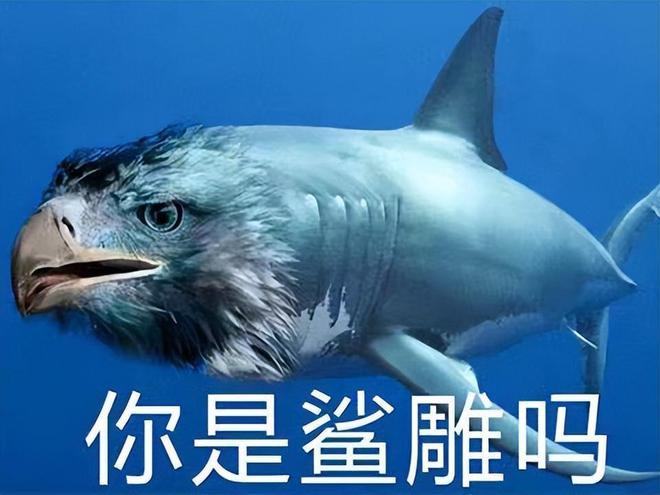 求生联机版_求生游戏联机手游_沙雕求生游戏如何联机手机