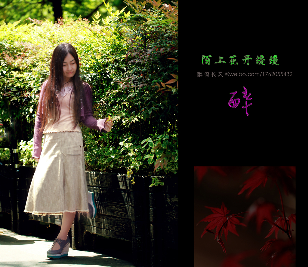 九月生_九月生草药图片_九月生带铁扫是什么意思