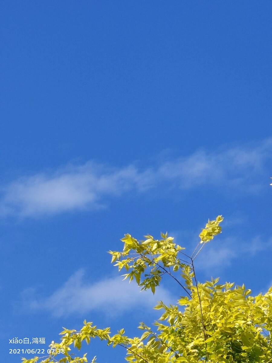 口袋夏日农场_口袋夏日农场赚钱吗_夏日口袋