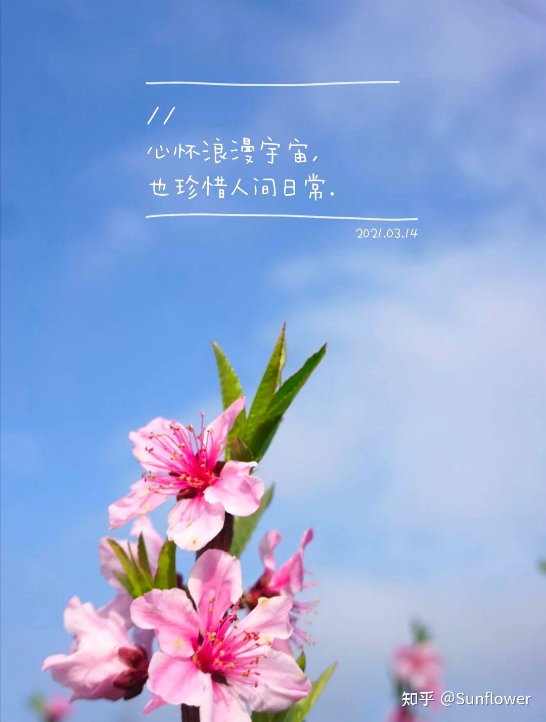 口袋夏日农场赚钱吗_夏日口袋_口袋夏日农场
