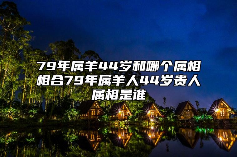 1979年属羊的人什么命_1979年属羊的人命太不好了_1979属羊的命