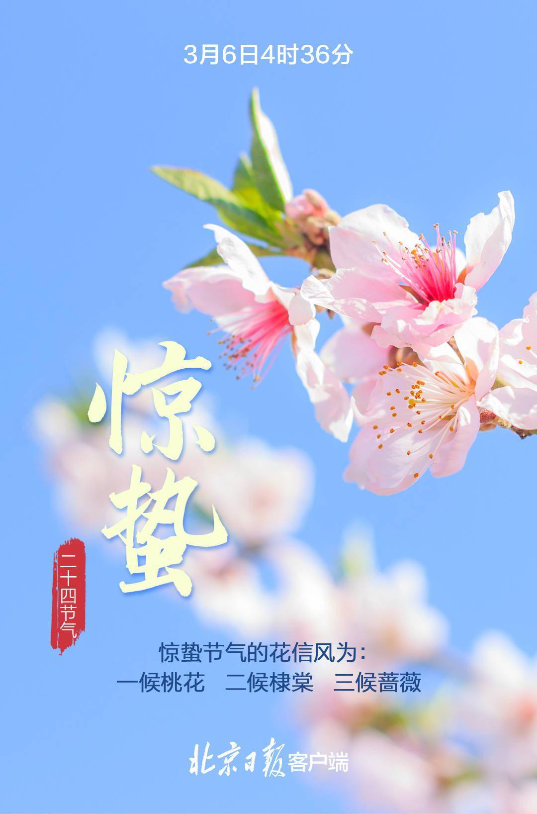 图片惊蛰图片_惊蛰图片_图片惊蛰祝福
