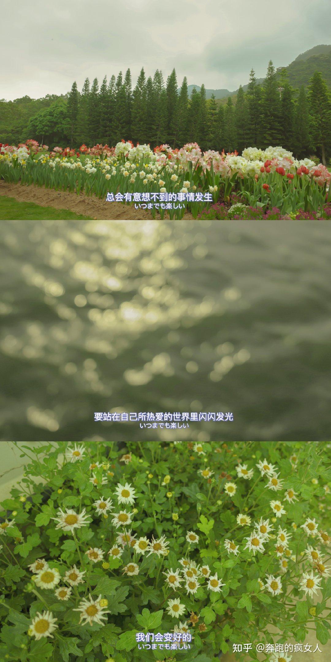 阿莱克西亚_莱克西杰拉德_阿莱克西雅
