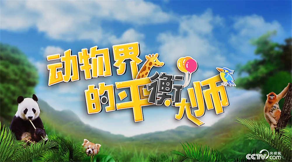 手机考试游戏_考试手机游戏怎么做_考操作的手机游戏