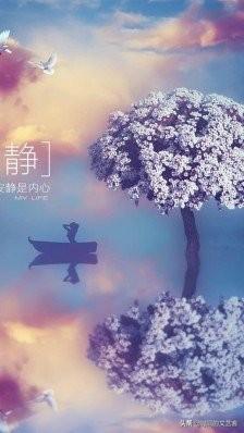 网页微信版手机怎么登录_网页微信版手机下载_手机网页版微信