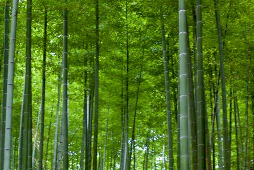 相内リカ_相内リカ_相内リカ