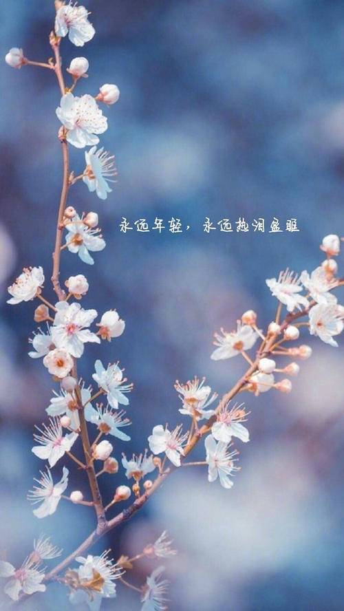 雀雀_雀巢奶粉怎么样_雀舌罗汉松