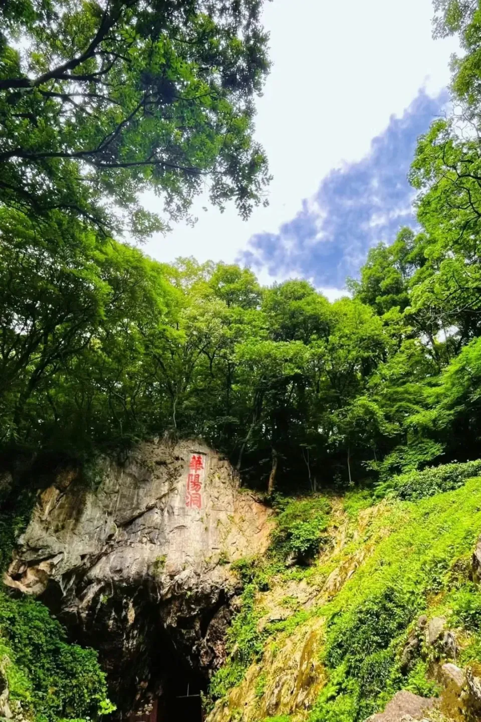 五月八日_五月八日_五月八日