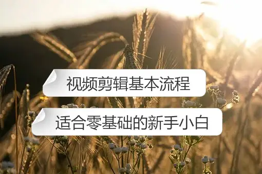 手机零基础做游戏视频剪辑_视频剪辑基础手机做游戏怎么做_视频剪辑基础手机做游戏教程