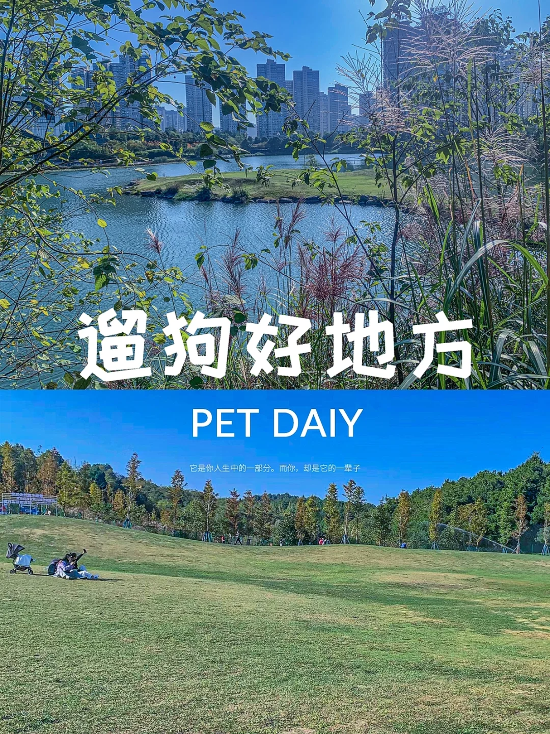 等觅_等觅_等觅