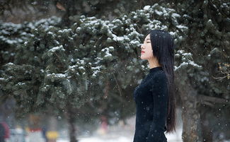飘雪影视免费观看 