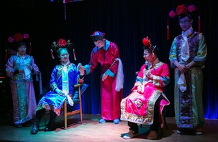 纯元皇后传 