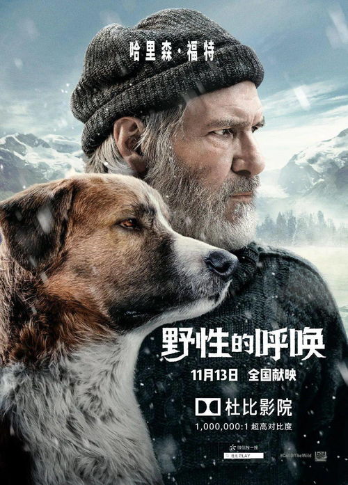 现代突击队的召唤最新版 