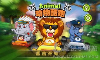 动物酷跑游戏,速度与激情的极限挑战
