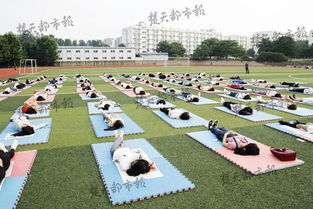 大学生操场游戏,大学生操场游戏风采掠影