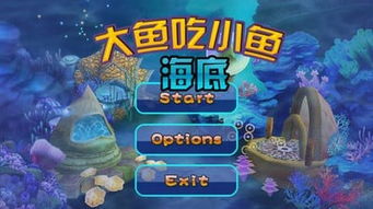 大鱼吃小鱼游戏视频,生存法则与生态平衡的视觉盛宴