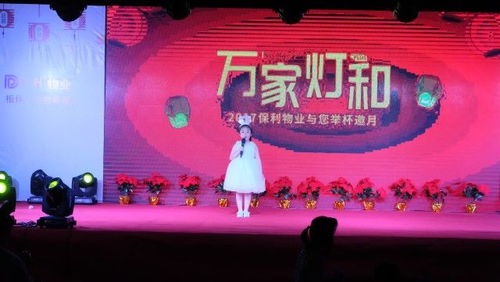 中秋晚会小游戏,欢乐中秋夜——晚会小游戏精彩回顾