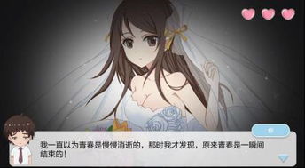 撩妹游戏.,解锁恋爱游戏中的甜蜜技巧