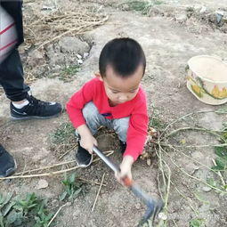 扒花生游戏,畅享欢乐时光