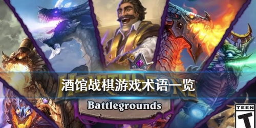 游戏术语对,解锁虚拟世界的奥秘