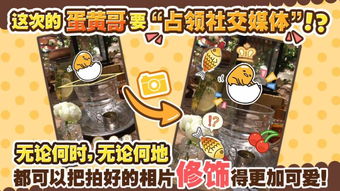 蛋蛋哥游戏,解锁无尽乐趣