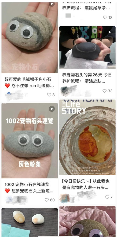 宠物翻译专家宠物翻译器免费下载v1.0.0最新版2024 
